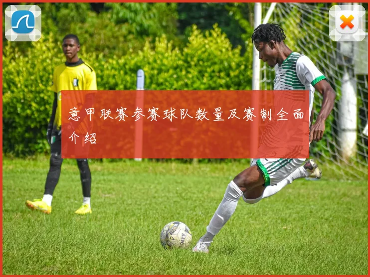 意甲联赛参赛球队数量及赛制全面介绍