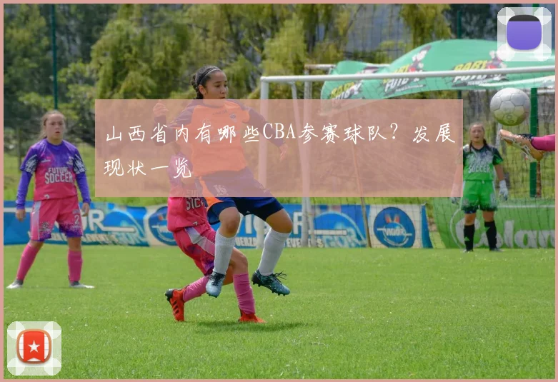 山西省内有哪些CBA参赛球队？发展现状一览