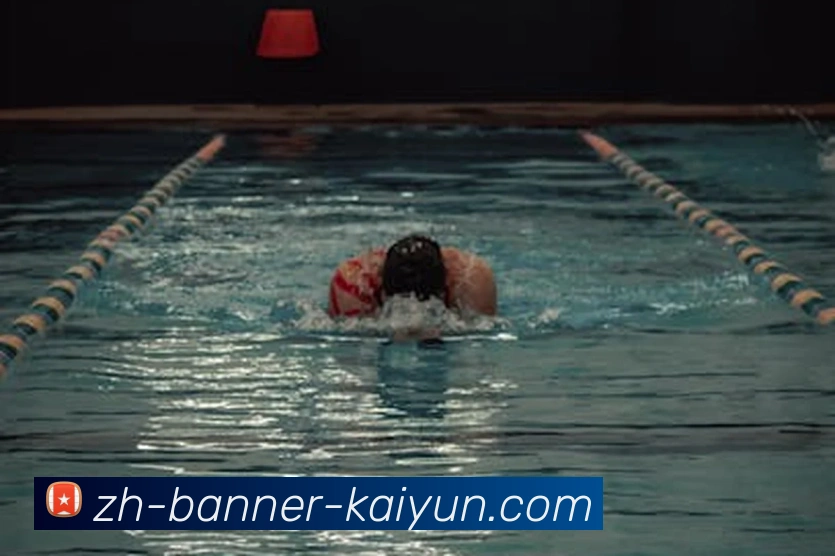 App Interface Preview